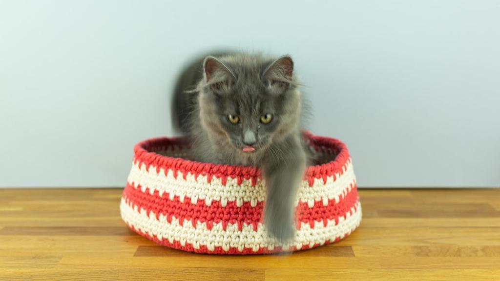 Crochet cat basket